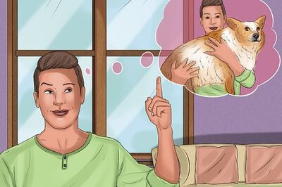 How to Rescue a Corgi