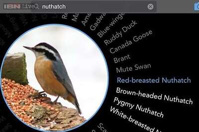 Birdsnap: A new app that helps you identify birds