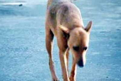 Karnataka govt's dogfight | Your Say