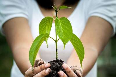 On World Environment Day, Reliance Foundation Launches Plant4Life Initiative for a Greener Tomorrow