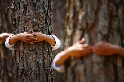Green Activists Stopped, Manhandled on Way to LDF MLA's Water Theme Park in Kerala