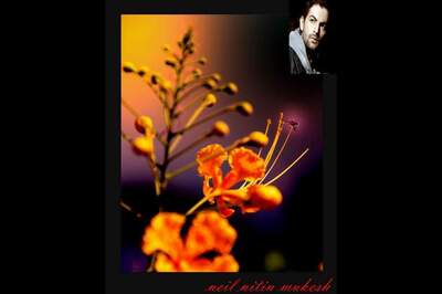 Actors turn photographers for charity