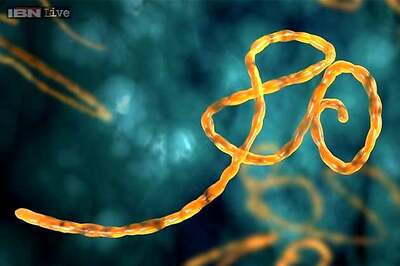 Ebola ebbing in West Africa but vigilance needed: WHO