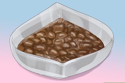 How to Treat Behavior Problems in Older Cats