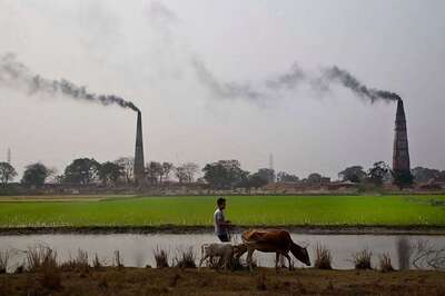 MP Agriculture Sector Growth Slips by 1.61%, Says MP Economic Survey