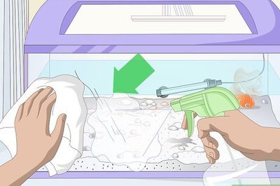 How to Fix Scratches on an Aquarium