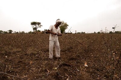 Marathwada Gets Rs 819 Crore Relief for Post-monsoon Showers that Hit Farmers