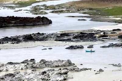 Reports That India Trying to Breach Indus Water Treaty 'False' and 'Far From Reality': Official