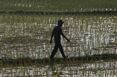 Cabinet gives ex-post facto approval to 13 MoUs on agriculture