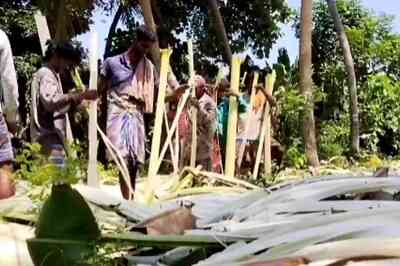 In Tamil Nadu, This Farmer Earning Huge Profits With Banana Fibre Production