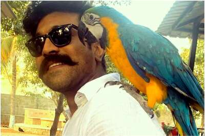 Ram Charan Announces He has Tested Covid-19 Negative, is Back in Action