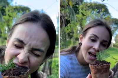 Video Of Woman Eating 'Potted Plant' Has Everyone Asking If It's Real. Here's The Answer