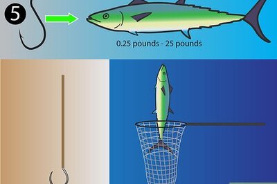How to Choose a Hook for Saltwater Fishing