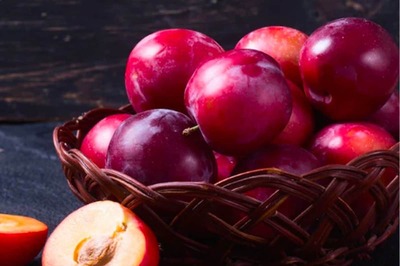 Controlling Diabetes To Increasing Immunity, 5 Health Benefits Of Plum