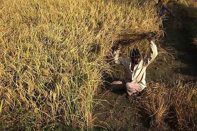 Kerala tackles rising rice prices amid Oppn fire