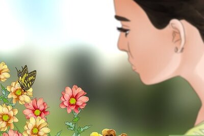 How to Easily Catch a Butterfly with Your Hand