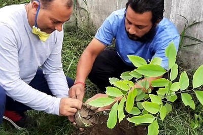 Harela 2020: Here’s Everything to Know About the Festival of Uttarakhand and Himachal Pradesh