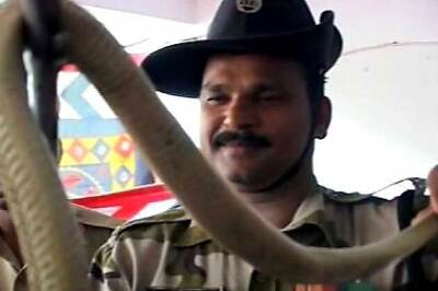 V-Day drug: youngsters get high on cobra venom