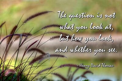 National Simplicity Day 2021: History, Significance and All You Need to Know About Henry David Thoreau