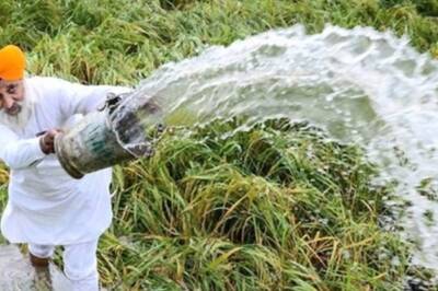 Retail Inflation Rises to 6.6% for Farm Workers in July, Up At 6.82% for Rural Labourers