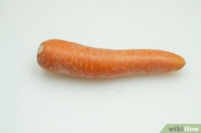 How to Make a Carrot Recorder