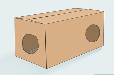 How to Help a Cat with Anxiety