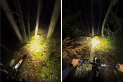 Cyclist Explores Dark Forest Path, Internet Says 'Even Ghost Would Be Scared'
