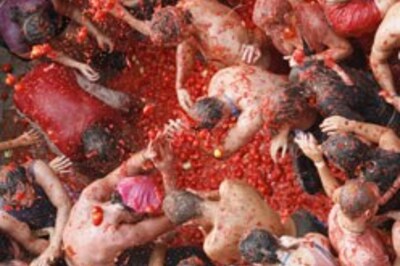In Pics: Attack of the killer tomatoes