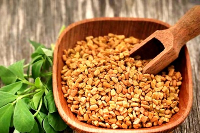 Giloy To Triphala, 5 Ayurvedic Herbs To Maintain Uric Acid Levels