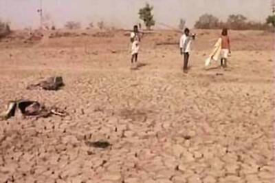 India faces first drought in three years: IMD