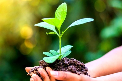 MCD School Students Chief Guests at Inauguration of Green Initiatives in Karol Bagh