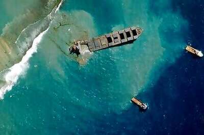 39 Dolphins, 3 Whales Wash Up On Mauritius After Oil Spill