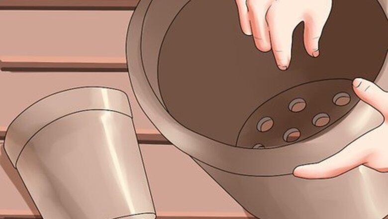 How to Grow Succulents in Pots