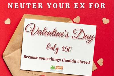 This New Jersey Animal Shelter Will ‘Neuter Your Ex' For Rs 4,000