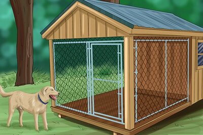 How to Clean a Boarding Kennel