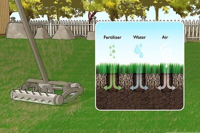 How to Topdress a Lawn