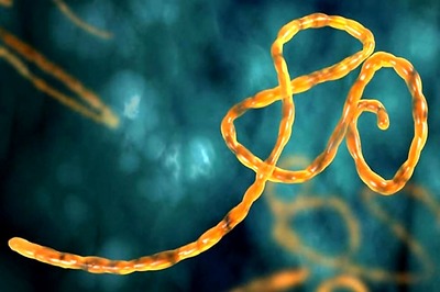 381 Students Hospitalised in China For Norovirus