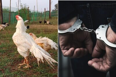 Mumbai: Chicken Blood Used by Women to Prove Allegations of Sexual Assault on Businessman