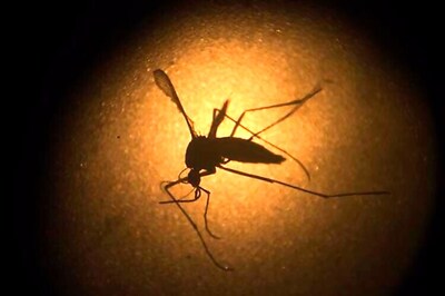 WHO fears upto 4 million Zika cases in Americas