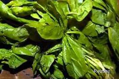 E coli spinach cases rise to 173