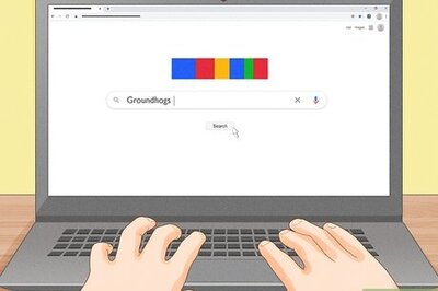 How to Get Rid of Groundhogs