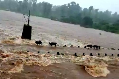 Upset over Daughter's Marriage, Haryana Man Dives Car with Wife And Son into Canal