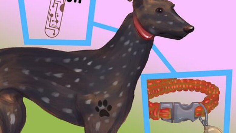 How to Pass an AKC Inspection