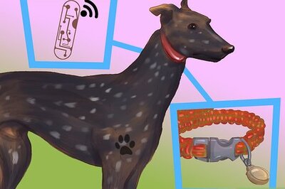 How to Pass an AKC Inspection