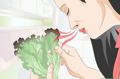 How to Feed Greens to Your Rabbit