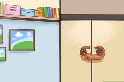 How to Dog Proof Your House