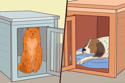 How to Prevent Jealousy in Current Pets when Getting a New Dog
