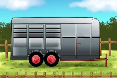 How to Load a Horse on a Trailer