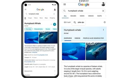 Google Search for Android and iOS Smartphones Getting a Makeover, Here's How It Will Appear