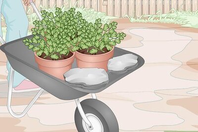 How to Dry Up a Wet Yard
